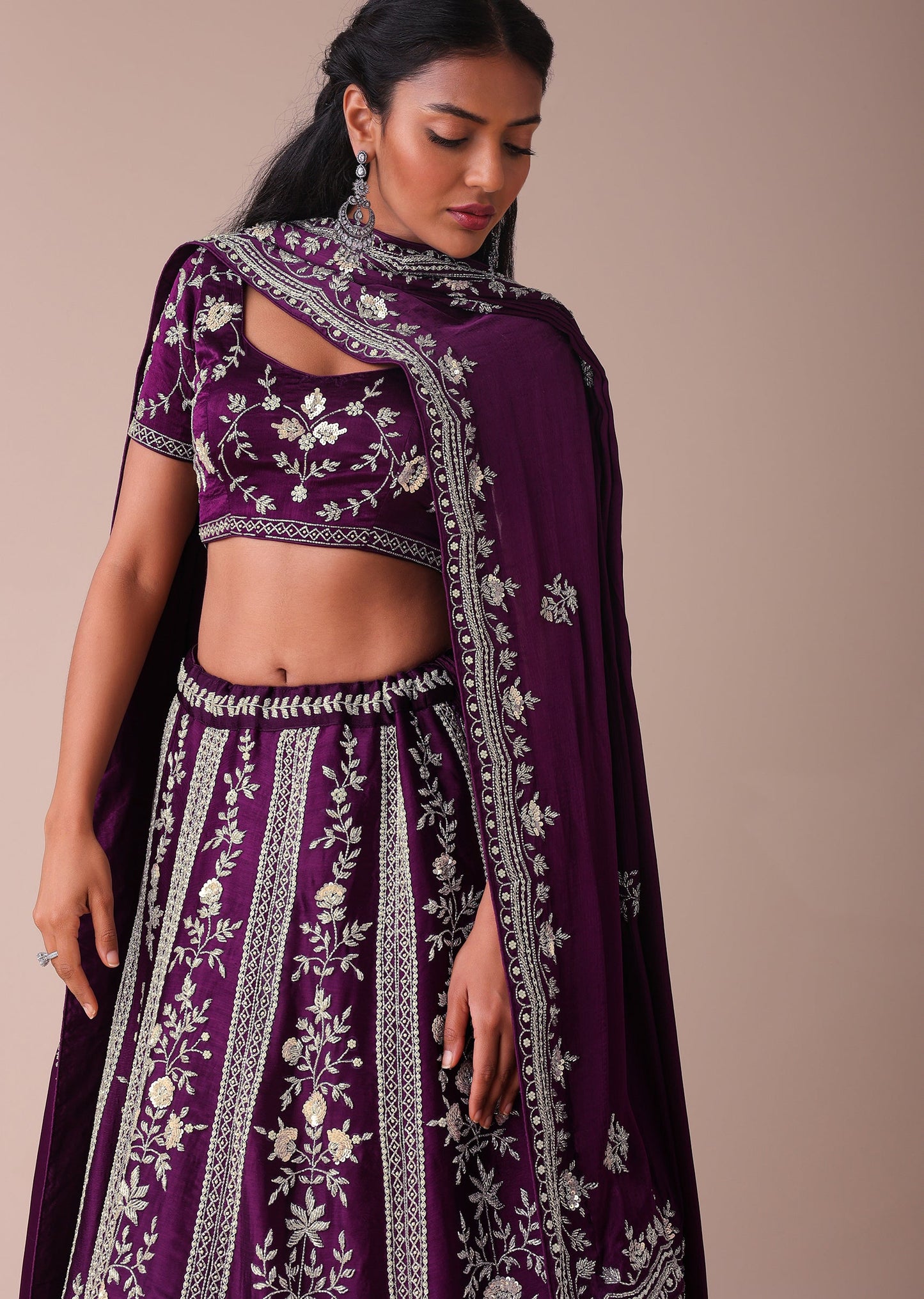 Mulberry Purple Lehenga With Handwork Embroidery