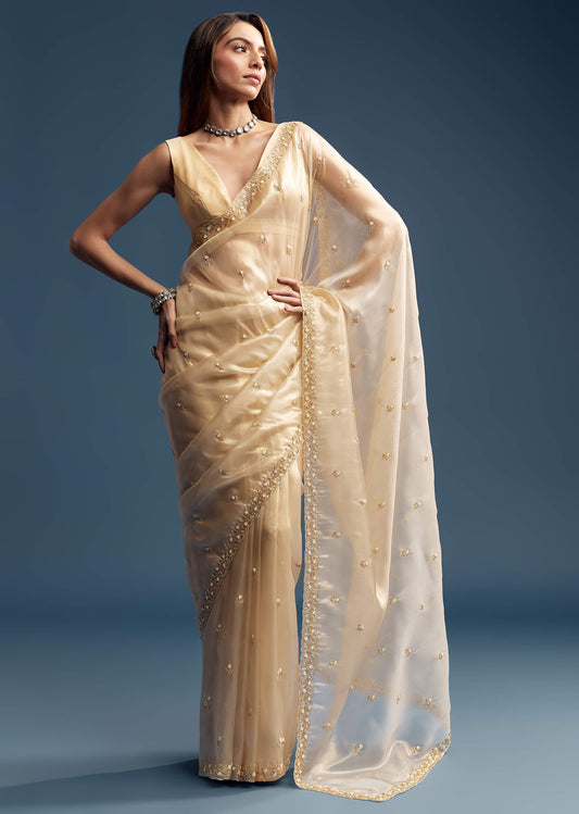 Beige Tissue Saree With Vine And Floral Embroidery