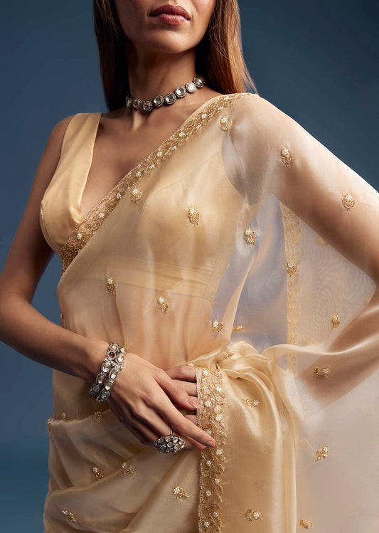 Beige Tissue Saree With Vine And Floral Embroidery