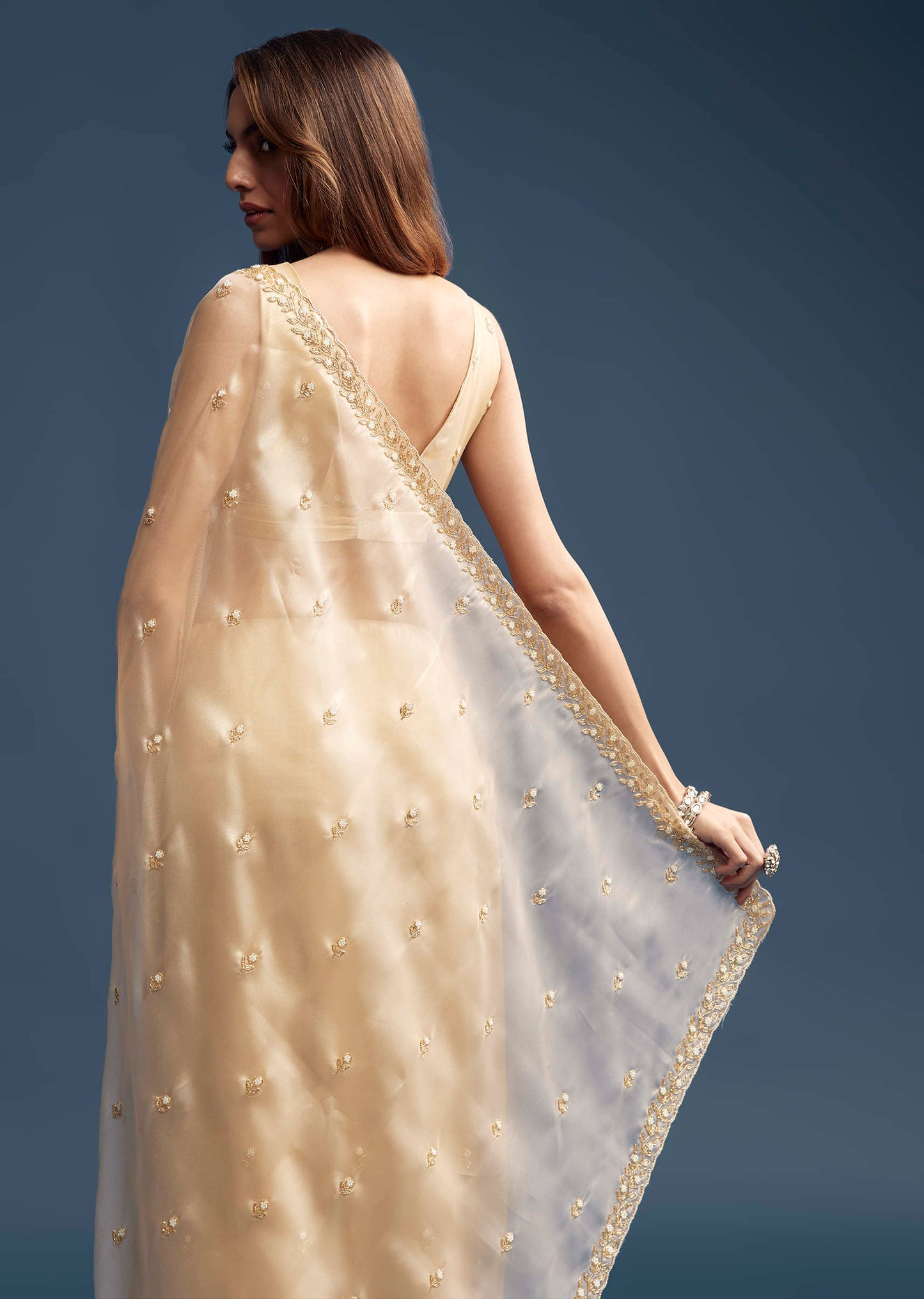 Beige Tissue Saree With Vine And Floral Embroidery