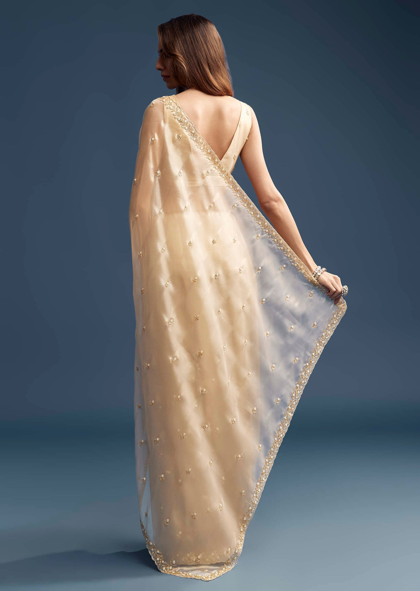 Beige Tissue Saree With Vine And Floral Embroidery