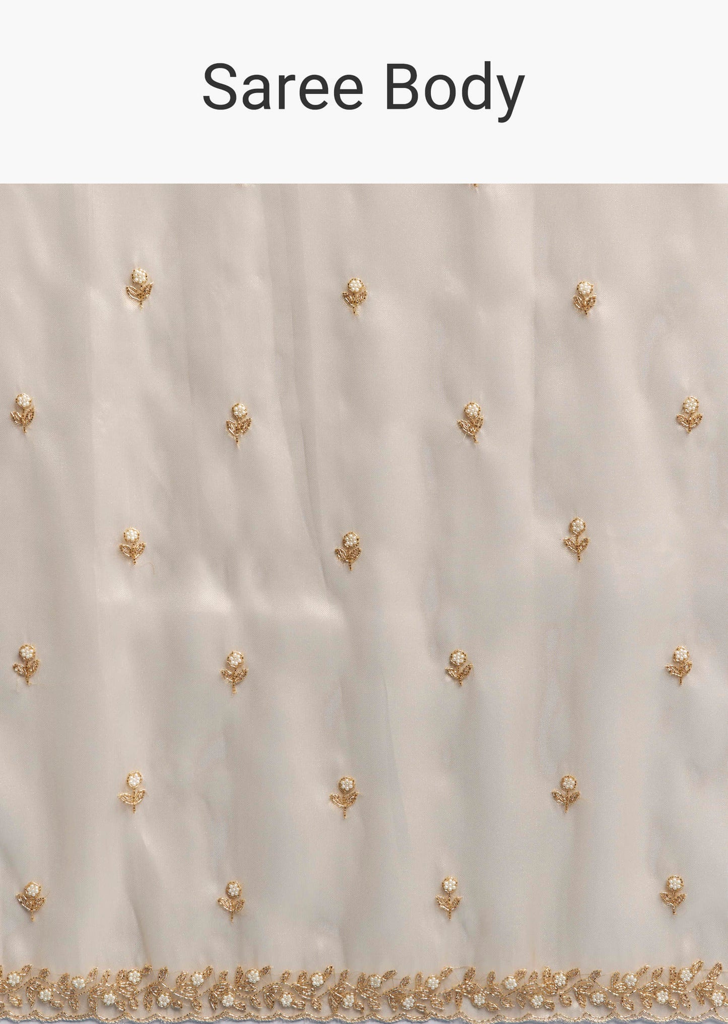 Beige Tissue Saree With Vine And Floral Embroidery