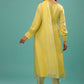 Lime Yellow Bemberg Silk A Line Suit In Organza