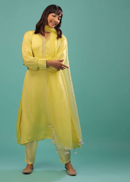 Lime Yellow Bemberg Silk A Line Suit In Organza